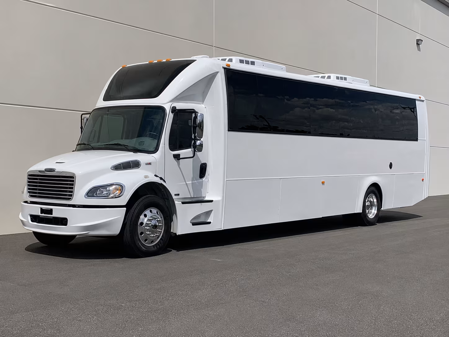 Group beside a Mercedes Sprinter limo in Long Island