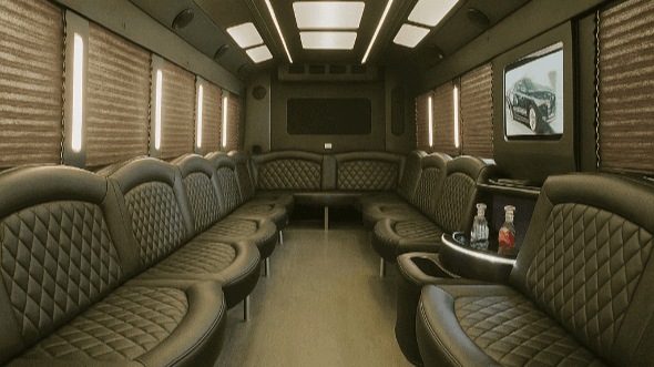 20 passenger party bus interior