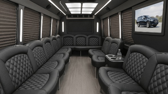 brookhaven 20 passenger party bus