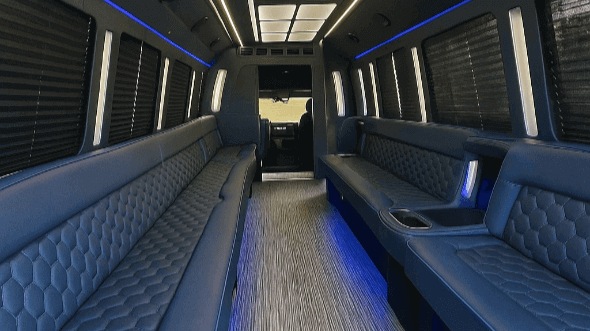 long island 25 passenger party bus interior