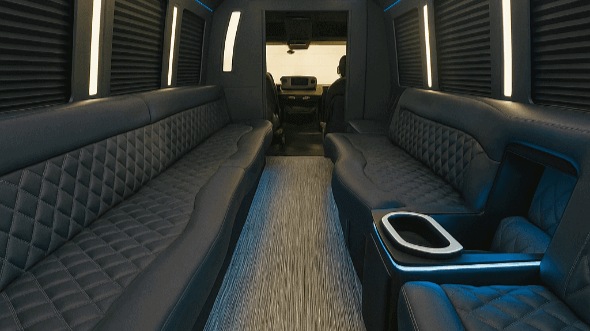 long island 28 passenger party bus rental